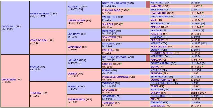 saint-des-saints-1998-pedigree.jpg