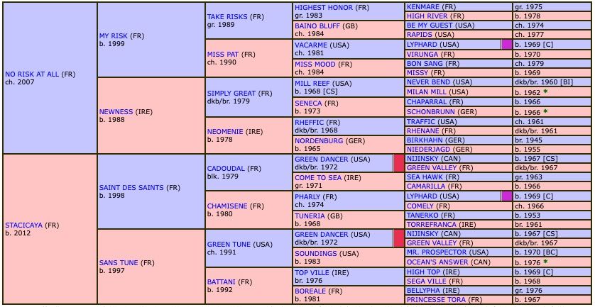 salvator-mundi-2020-pedigree.jpg