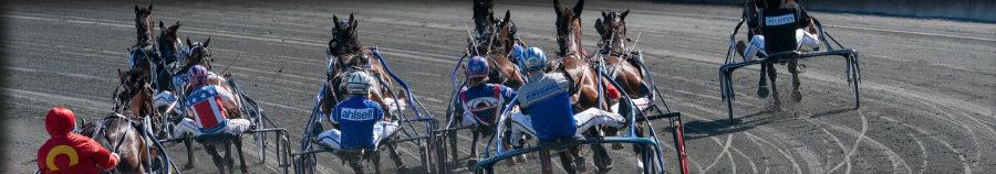 solvalla-01-900_2020-05-27.jpg