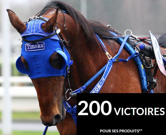 timoko200.jpg