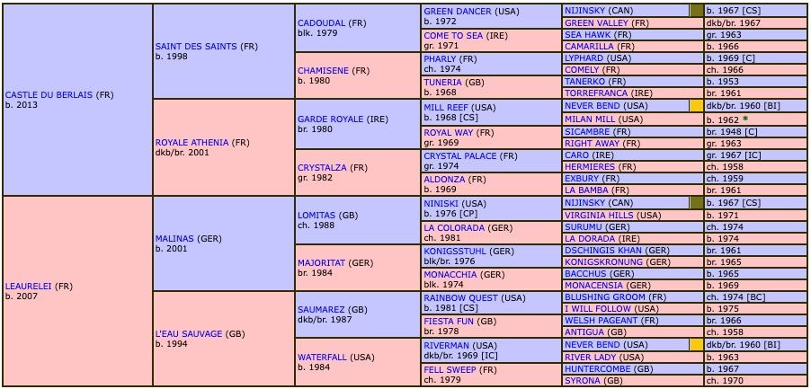 try-line-2019-pedigree.jpg