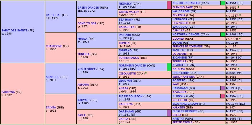 zaine-2021-pedigree.jpg