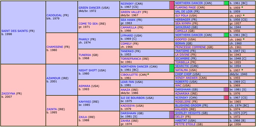 zaine-2021-pedigree.jpg