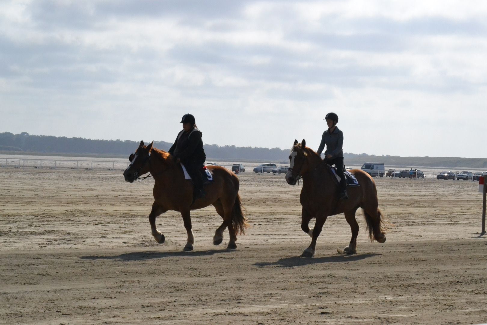 DSC_0144.JPG