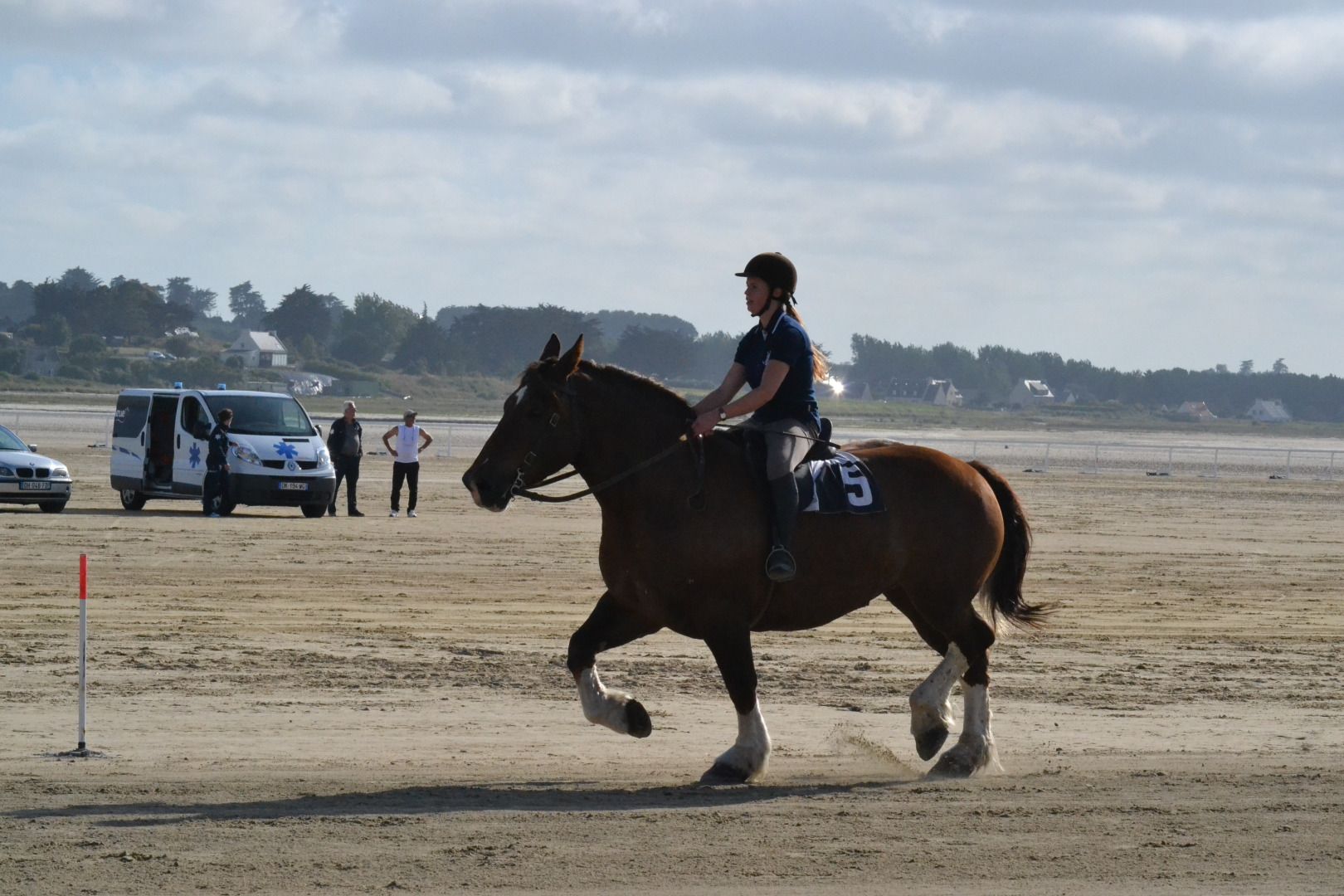 DSC_0146.JPG