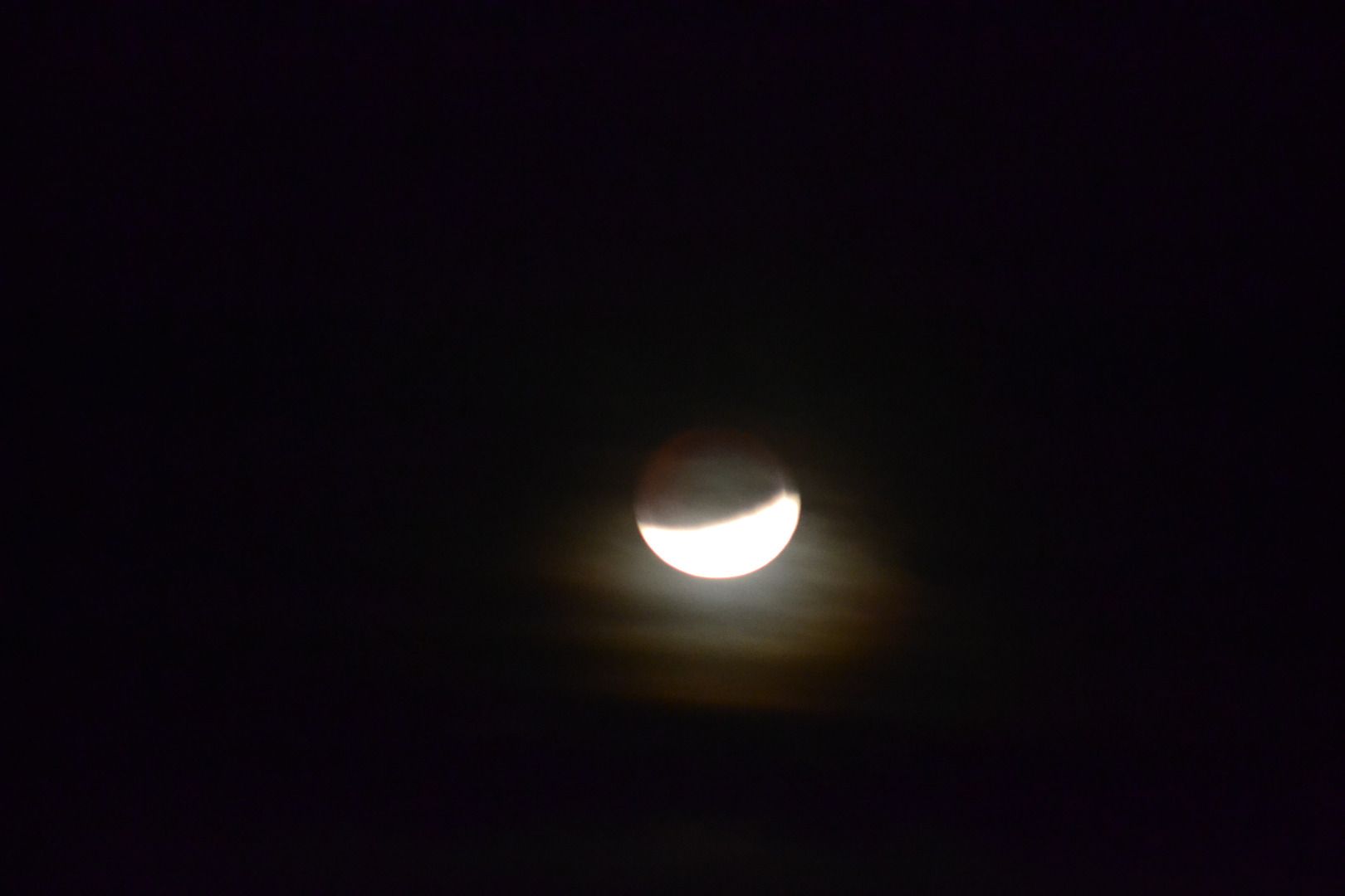 DSC_0176.JPG