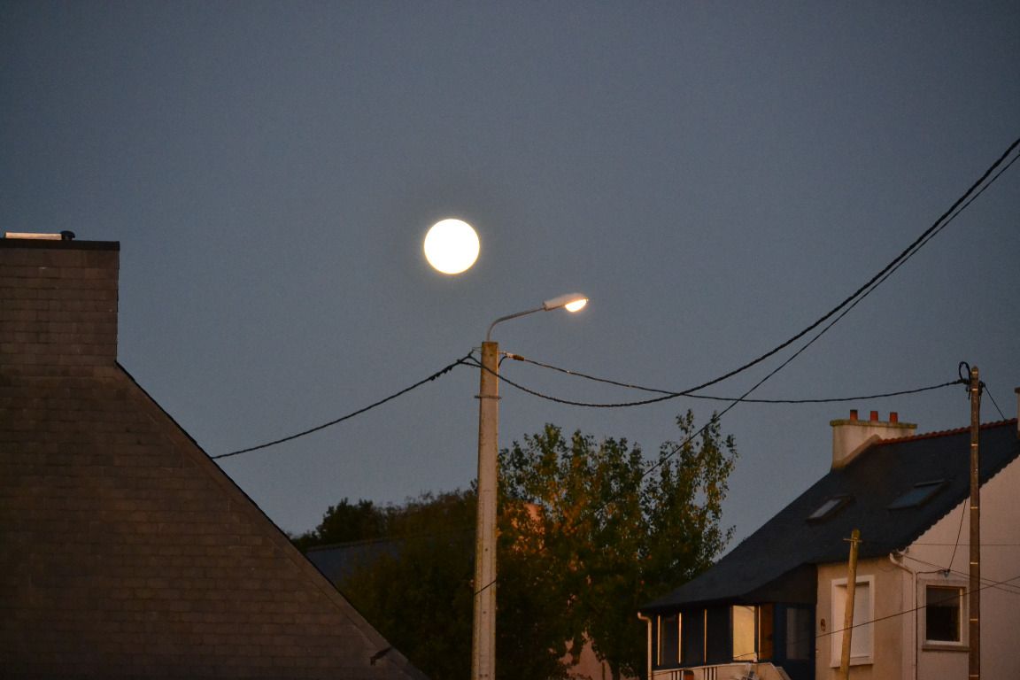 DSC_0191.JPG