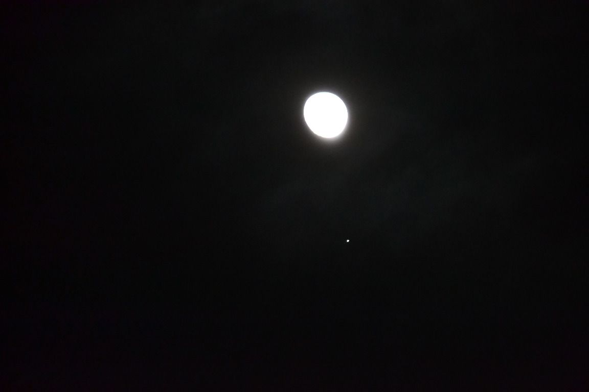 DSC_0300.JPG