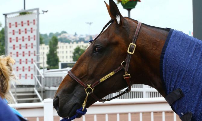 Timoko_2017-07-21.jpg