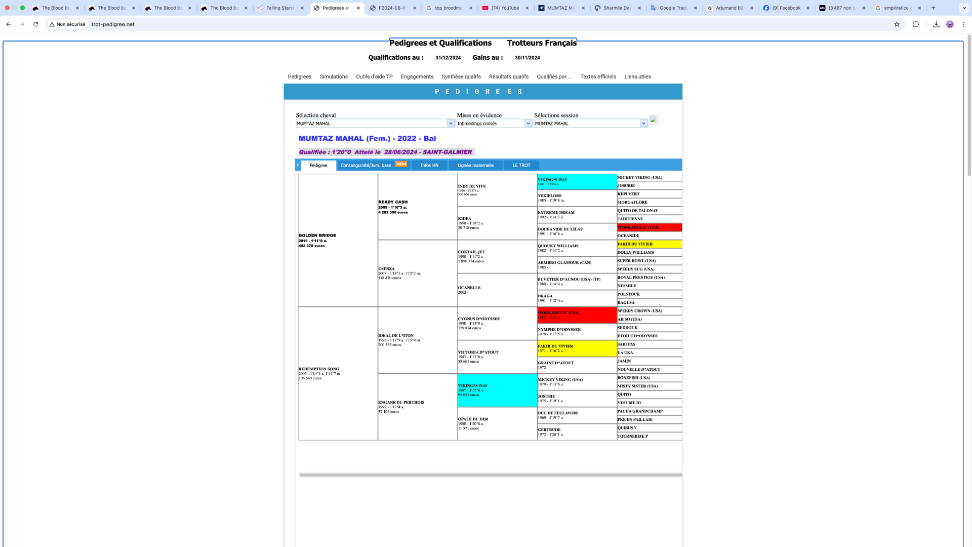 Capturedecran2025-01-15a20.21.04.png