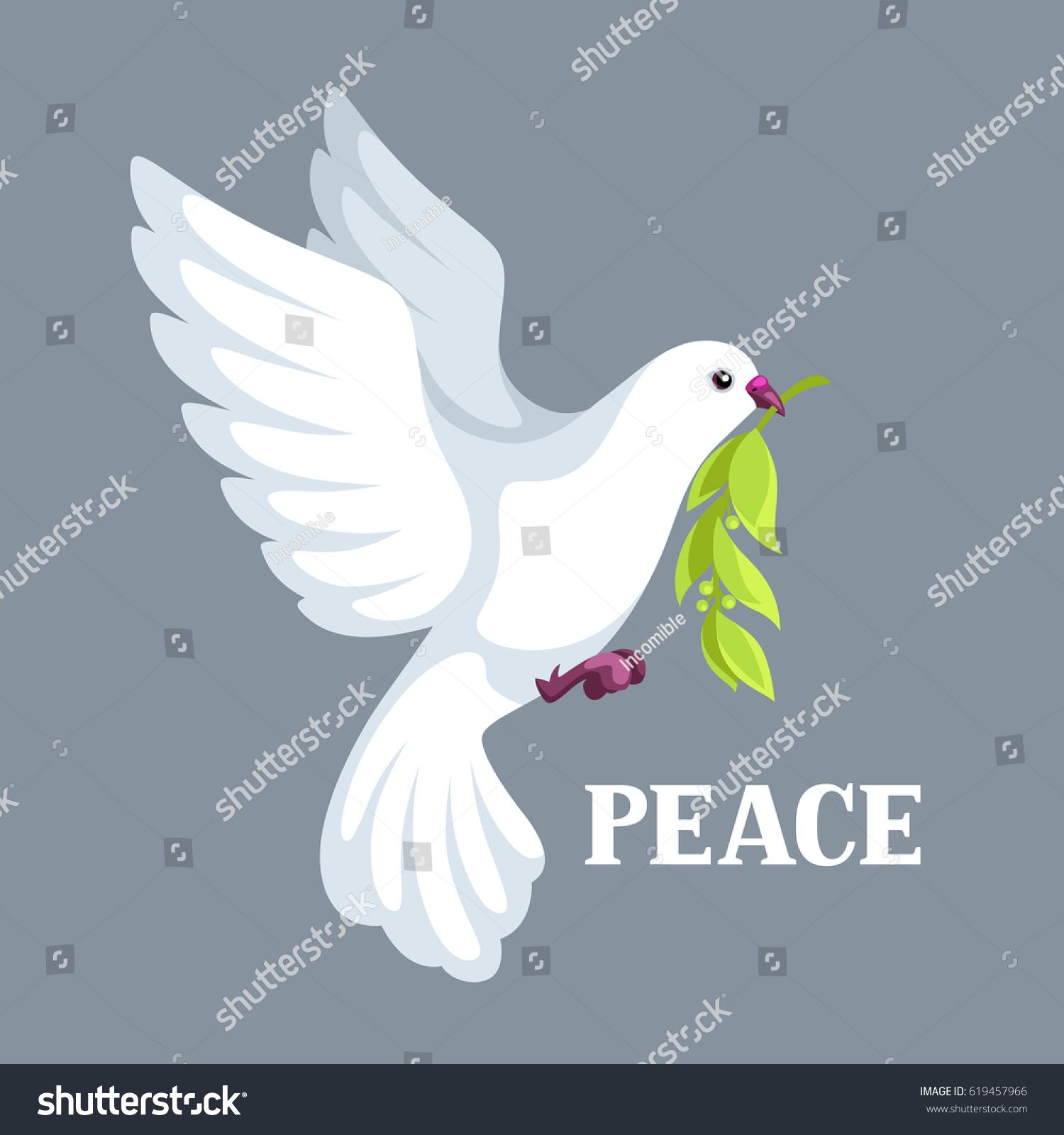 stock-vector-white-dove-of-peace-bears-olive-branch-619457966.jpeg