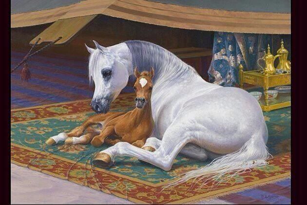 Arabians1.jpg