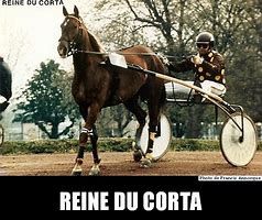 ReineduCorta.jpg