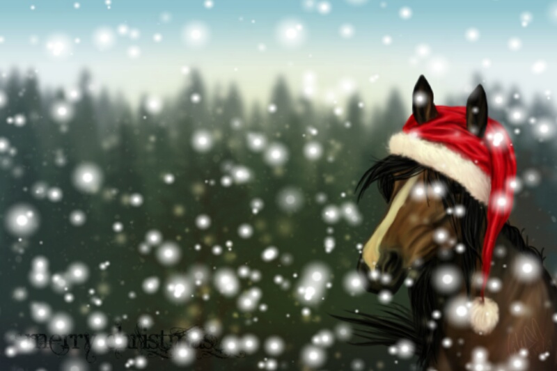 joyeuxnoelcheval_2024-12-23.jpg