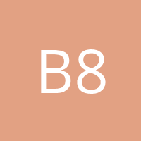 Bourgoin 85