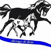 elevagederem