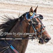 Portrait de Redeemer