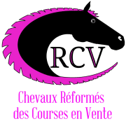 Portrait de ChevauxReformes