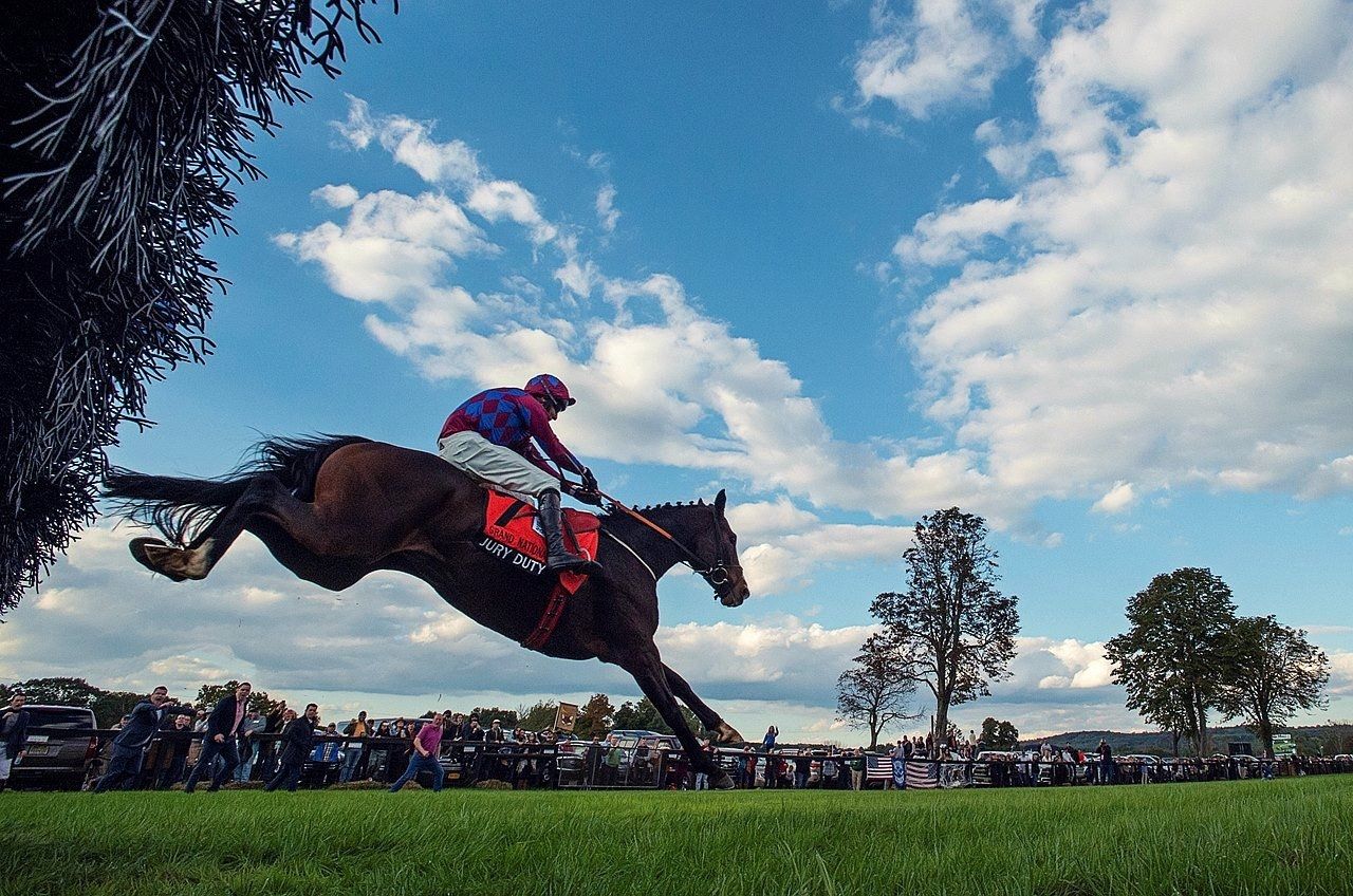 Grand National Hurdle 2018 (gr. I, haies, Far Hills - USA) - JURY DUTY