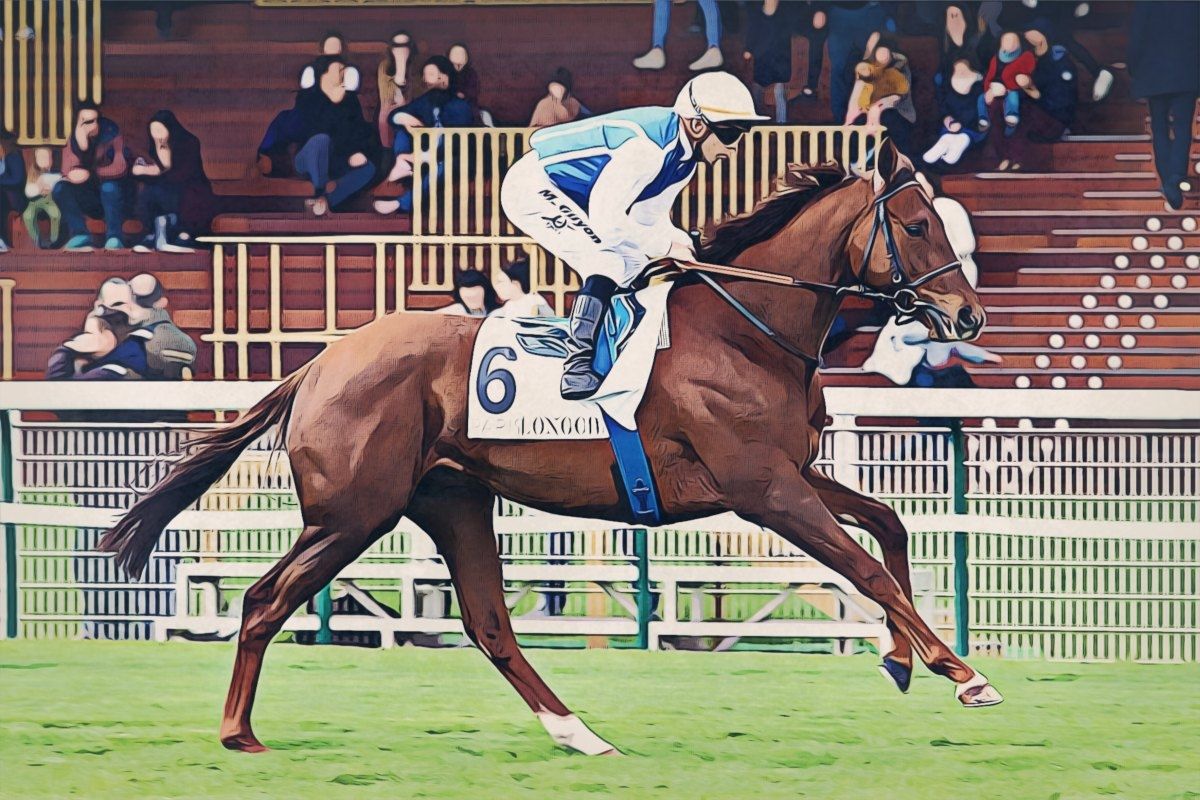 SHAMAN (Maxime Guyon) remporte le Prix La Force 2019 (gr. III, 1800 m, Longchamp) 